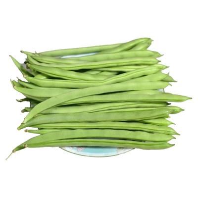 云南四季豆新鲜嫩豆角农家蔬菜