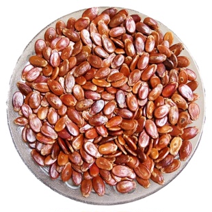 江西赣南客家特产 信丰农家自产西瓜子 水煮盐味红瓜子500g包邮