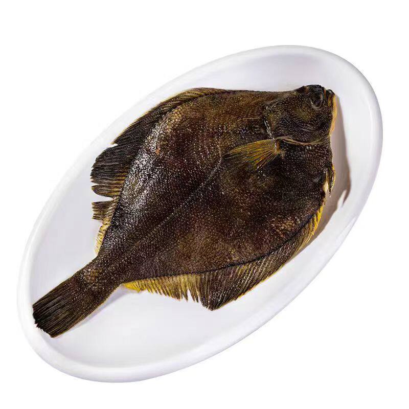 整条鲽鱼蝶鱼深海鲽鱼身大号碟鱼鸦片鱼新鲜冷冻比目鱼商用雅片鱼