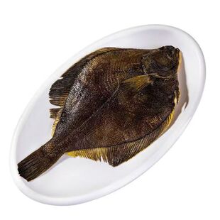 整条鲽鱼蝶鱼深海鲽鱼身大号碟鱼鸦片鱼新鲜冷冻比目鱼商用雅片鱼