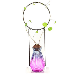 水培山乌龟绿植桌面花架龟甲龙爬藤架绿萝攀爬架子小矮花盆花架子