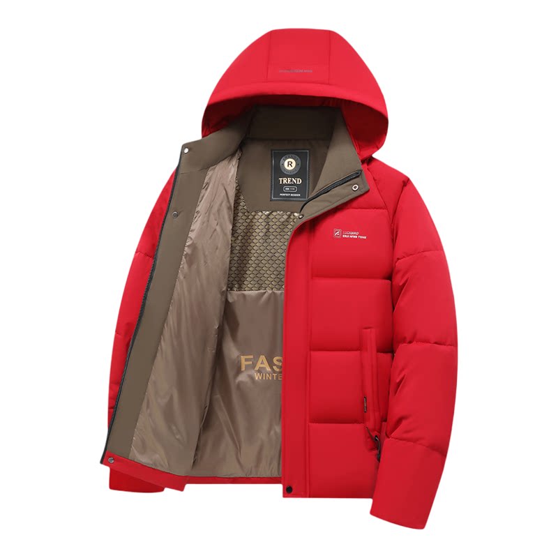 外贸尾单冬季男棉袄外套潮流百搭防风羽绒保暖加厚立领