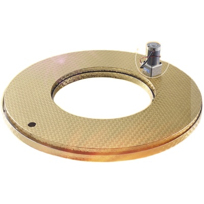 静音遥控调速森林源电动转盘直销