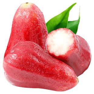 海南黑金刚莲雾水果新鲜特产热带水果当季中果黑珍珠莲雾顺丰包邮