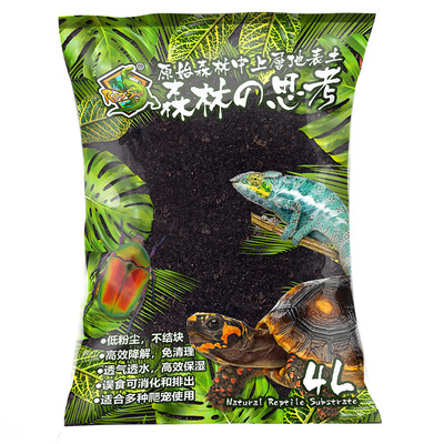 爬宠森林思考爬虫蜥蜴地表无菌