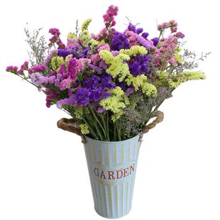 云南鲜花干花勿忘我情人草组合花束客厅卧室装饰插花家居摆设毕业