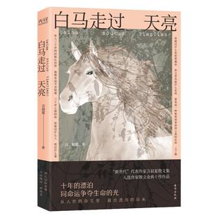 2020新版】 白马走过天亮 言叔夏 著 没有的生活后 防风林的外边 现当代文学经典散文集文学小说书籍 正版畅销书 新华先锋