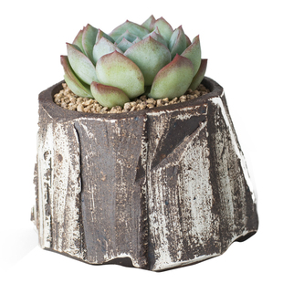 常品 手工多肉陶盆小瓷花盆创意家用陶瓷个性肉肉花盆小号多肉盆