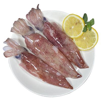 2斤新鲜舟山海捕鱿鱼单只约20cm