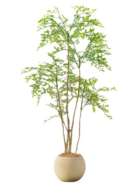 高端轻奢仿真绿植南天竹室