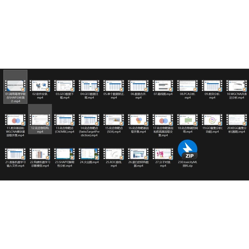 网络毒理+机器学习+SHAP分析+分子对接(12分文章复现)