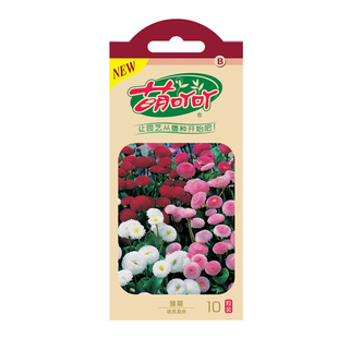 虹越萌吖吖花卉种子羽衣甘蓝雏菊紫罗兰欧报春花多花报春秋播耐寒