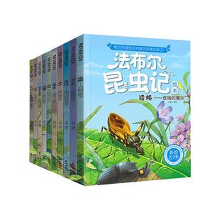 当当网正版童书法布尔昆虫记注音版精品盒装全10册一二三四五年级小学生推荐阅读经典科普课外书原著正版绘本故事书儿童百科全书籍