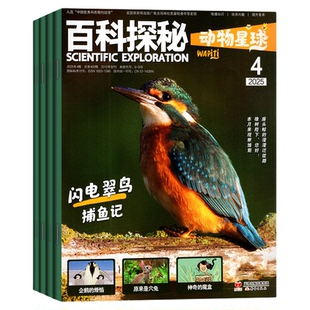 【过刊捡漏新刊现货】百科探秘AI少年航空航天海底世界玩转地球动物星球杂志2026年1-12月全年订阅儿童科普绘本小学生阅读2025过刊
