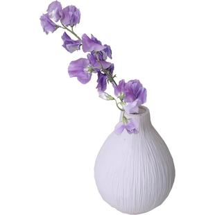 香豌豆鲜花云南直发插花水培碗豆花粉色花束豌豆花鲜切花顺丰包邮