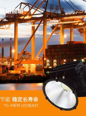 鲁格led投射灯大功率高杆灯码头探照灯船厂户外防水IP65塔吊灯