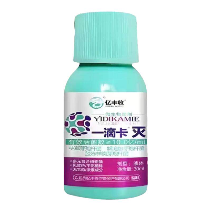杨梅树专用治卷叶褐斑病叶面肥