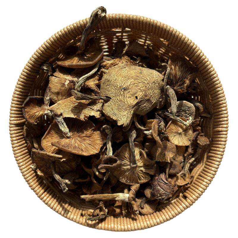 承德野生榛蘑东北野生干货小鸡炖蘑菇菌菇蘑菇红松蘑产自承德特产