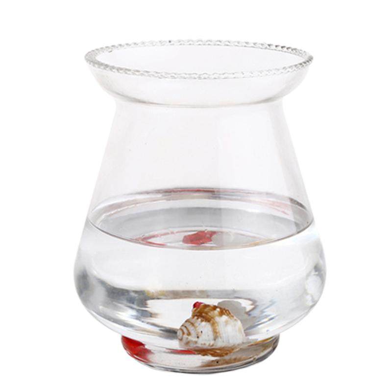 透明玻璃花盆水培绿萝简约桌面