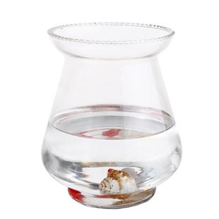 透明玻璃花盆水培绿萝敞囗圆形东瓜花瓶鱼缸简约桌面创意装饰大号