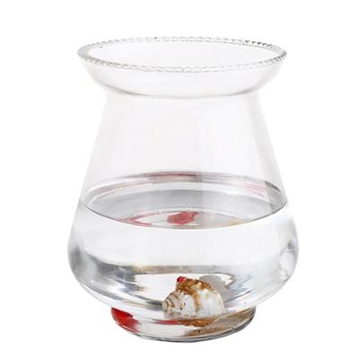 透明玻璃花盆水培绿萝简约桌面