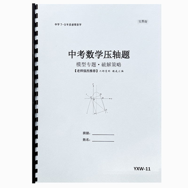 初中数学压轴题30大专题讲解初一初二初三代数几何模型解题方法本
