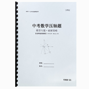 中考数学压轴题30大专题讲解初一初二初三代数几何模型解题方法本