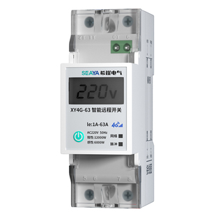 4G远程手机控制开关计量定时智能无线遥控水泵空开灯断路器充电桩