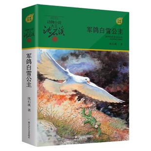 正版包邮 动物小说大王沈石溪军旅系列 军鸽白雪公主 6-8-10-12岁儿童课外阅读书籍 三四五六年级读物 新华书店畅销排行榜