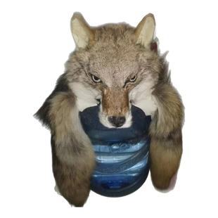 仿真动物狼头帽子冬季毛绒防寒保暖头套帽护耳