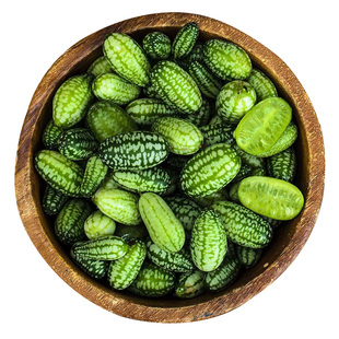 拇指小西瓜种子传家宝迷你多姿高产水果春秋易种籽阳台食用盆栽