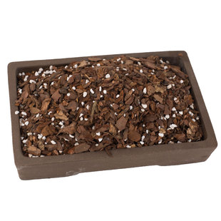 【6升装兰花专用土】兰草透气营养土种蝴蝶兰君子兰松树皮植料