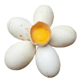 【120克左右】新鲜鹅蛋农家散养生鲜孕妇大真鹅蛋正宗非双黄精品