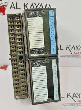 GE FANUC IC670MDL740J/IC670ALG630-HA INPUT OUTPUT MODULE (FA