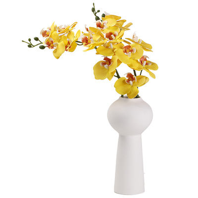 北欧简约花瓶蝴蝶兰家居摆件