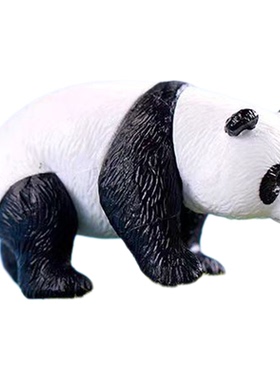 多肉迷你微景观大小熊猫造景摆件