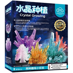 人工生长水晶种植科学实验套装趣味纸树开花结圣诞树儿童益智玩具