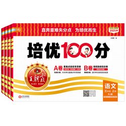 2025版王朝霞小学培优100分试卷