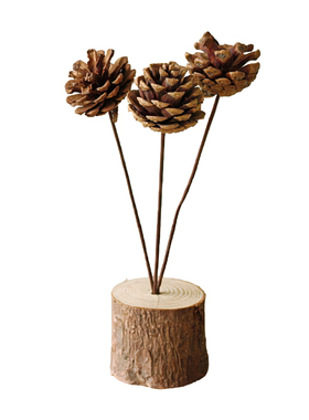 木质北欧简约桌面设计感家居干花