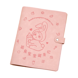 孕检收纳册报告单收纳袋孕妈妈孕妇b超建档手册本怀孕检查产检包马宝宝档案册报告单记录文件夹孕期必备用品