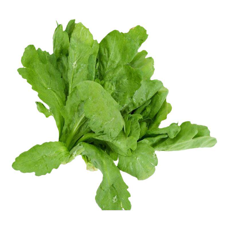 顺丰包邮新鲜大叶茼蒿菜火锅蔬菜