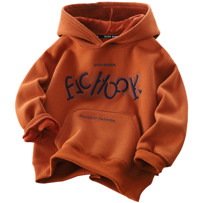 春秋款男童连帽加绒卫衣洋气