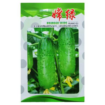 水果黄瓜种子嫦绿杂交品种农户种植10克装新种子好吃好卖春秋沈阳