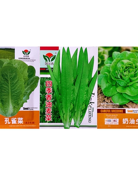 四季速生蔬菜易种植生菜种子大全