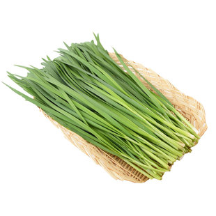 韭菜种子大全紫根韭菜白根红根雪韭原装正品简单易种多茬采收种籽