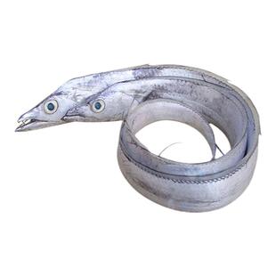 带鱼海鲜冷冻深海刀鱼镰刀鱼长鱼新鲜辽宁沈阳同城1条约1斤多宽大