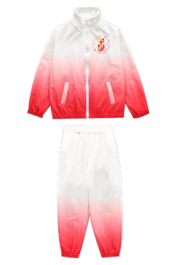 校服小学生班服运动会