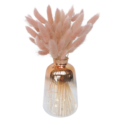 ins北欧玻璃家居摆件永生花