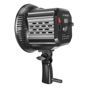 虞光专业COB直播补光灯主播专用球形灯美颜摄影棚灯直播间深抛拍照室内服装影棚拍摄灯光打光柔光灯箱圆形