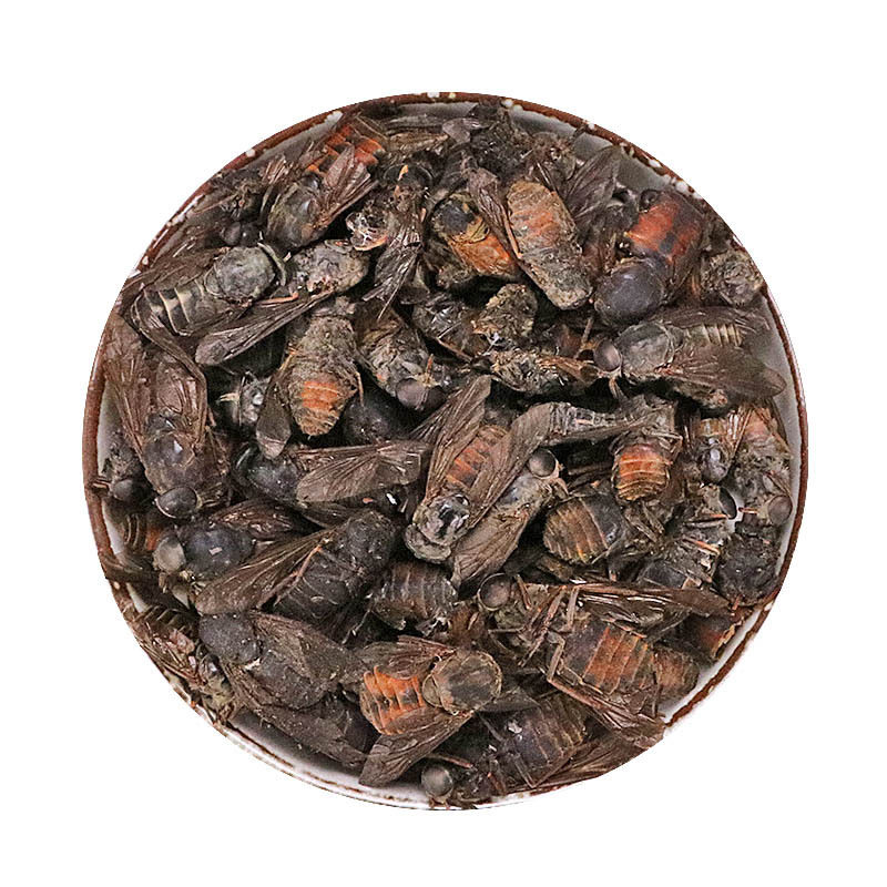 牛虻虫中药材大牛苍蝇抵挡汤原料
